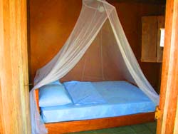 Beds